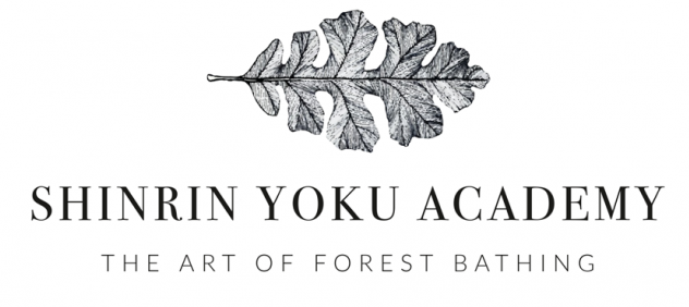 Shinrin Yoku Academy